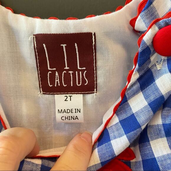 Lil Cactus smocked shortall dress crab summer 2T gingham - Picture 3 of 4